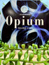 Incense Coil Darshan Opium - Birds of Paradise fashions and unique gifts