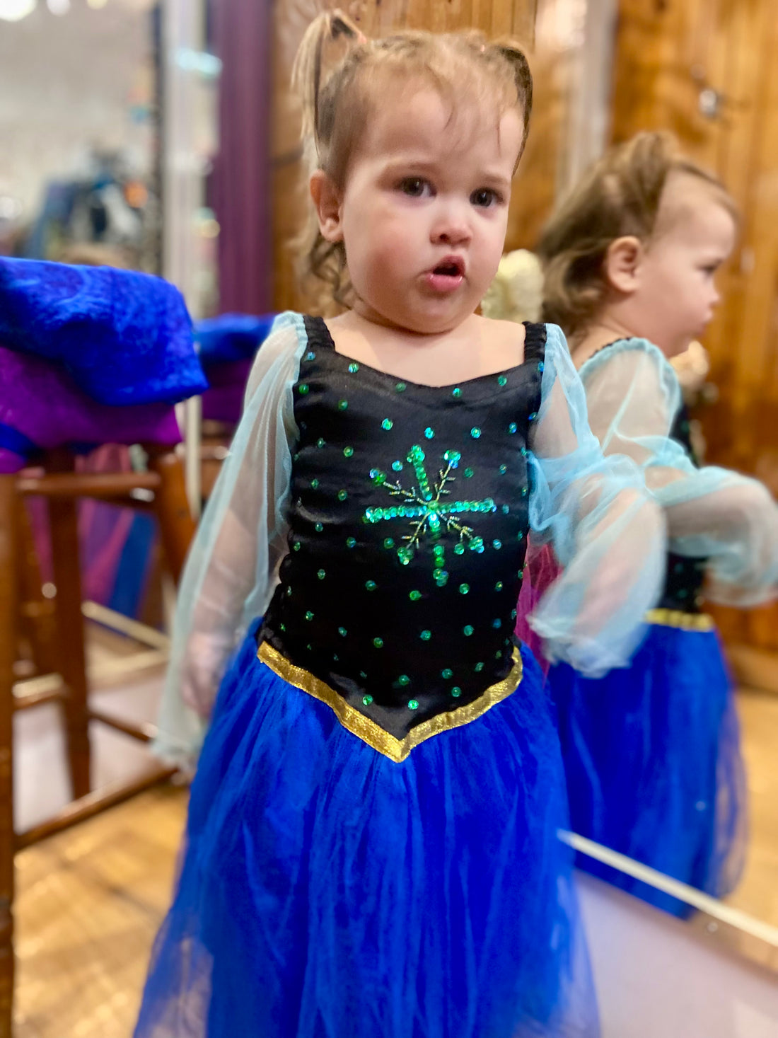 Elsa Fairy Dress