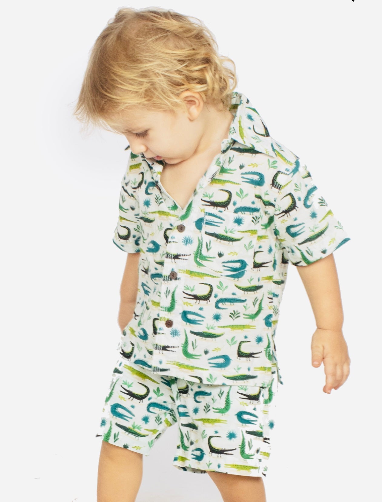 Unexpected Bahamas Wildlife:  Crocodiles Lurking In Paradise - 8h3iayr