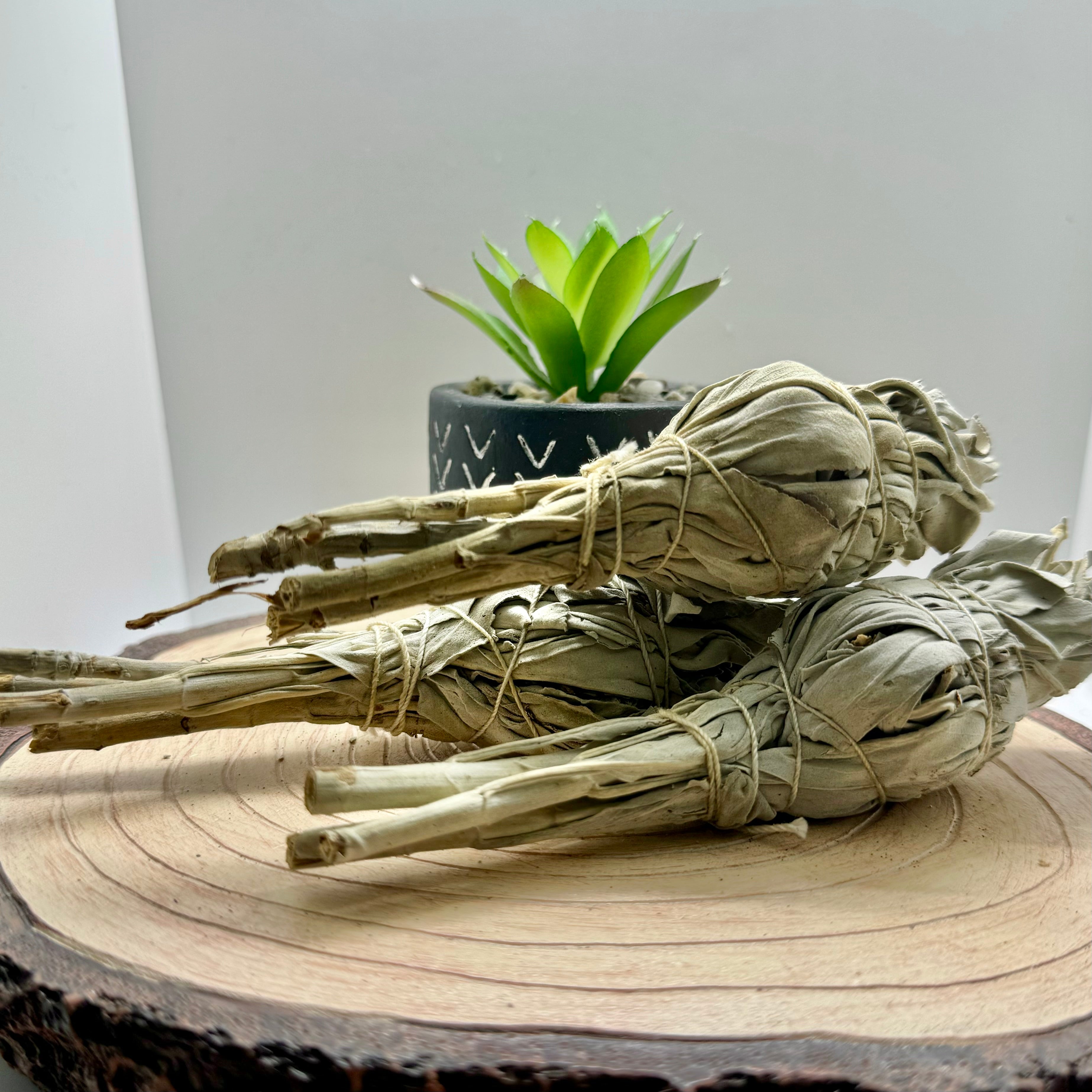 Sage Smudge Stick - Pack - Birds of Paradise fashions and unique gifts