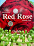 Incense Coil Red Rose - Birds of Paradise fashions and unique gifts