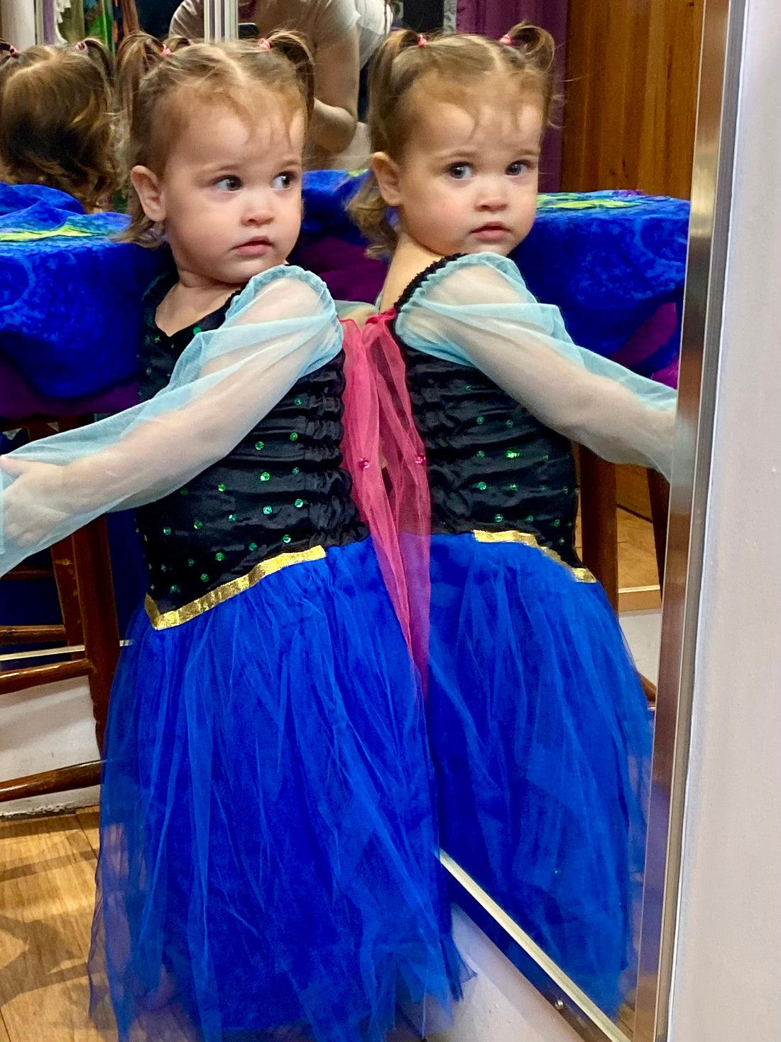 Elsa Fairy Dress 